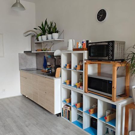 Evergreen Hostel Krakkó Kültér fotó