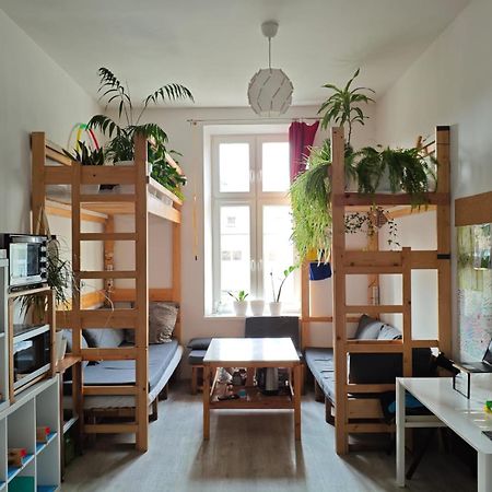 Evergreen Hostel Krakkó Kültér fotó