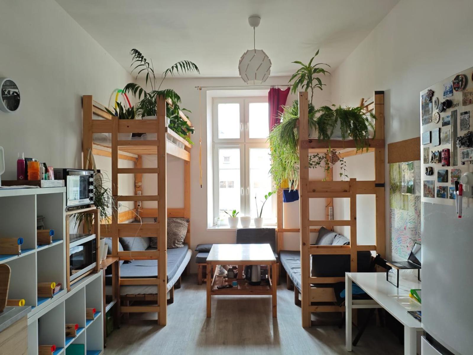 Evergreen Hostel Krakkó Kültér fotó