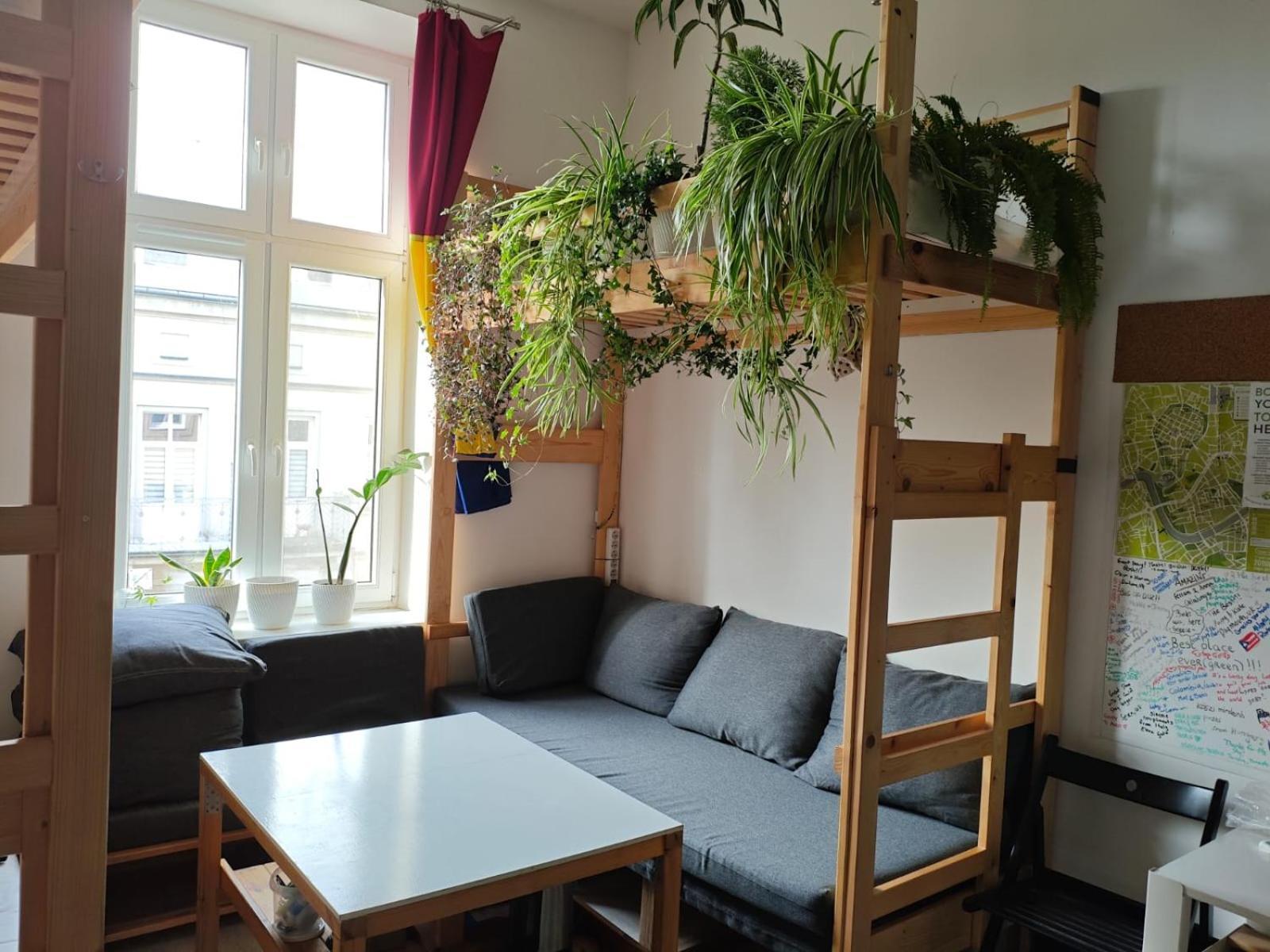 Evergreen Hostel Krakkó Kültér fotó